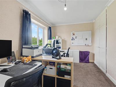Picture 19